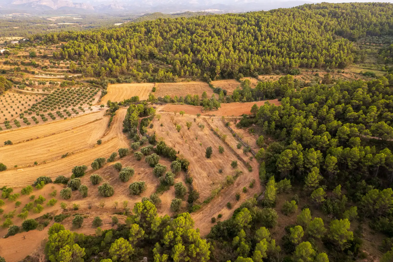 Terreni e lotti in vendita a Lledó, imagen 11