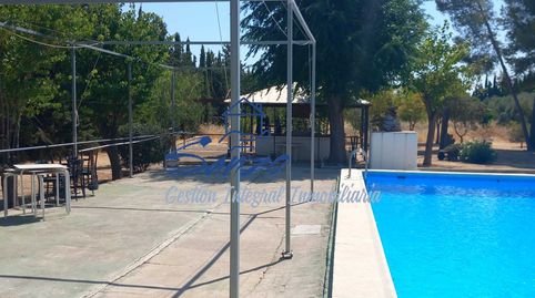 Finca rústica Antequera, imagen 4