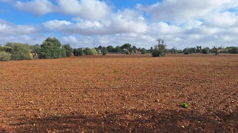 Photo 5 of Residential for sale in Llucmajor pueblo, Illes Balears