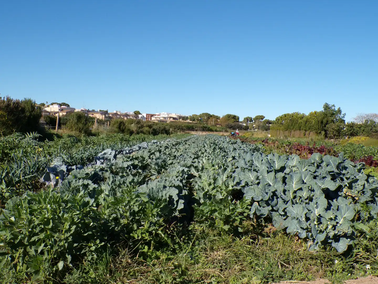 Jardín de Casa adosada en venta en Godella con Jardín privado