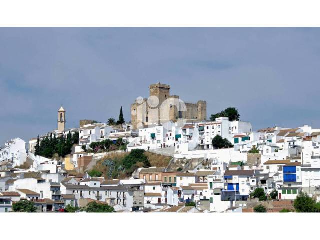 Casa-chalet en Venta en Moral en Espejo