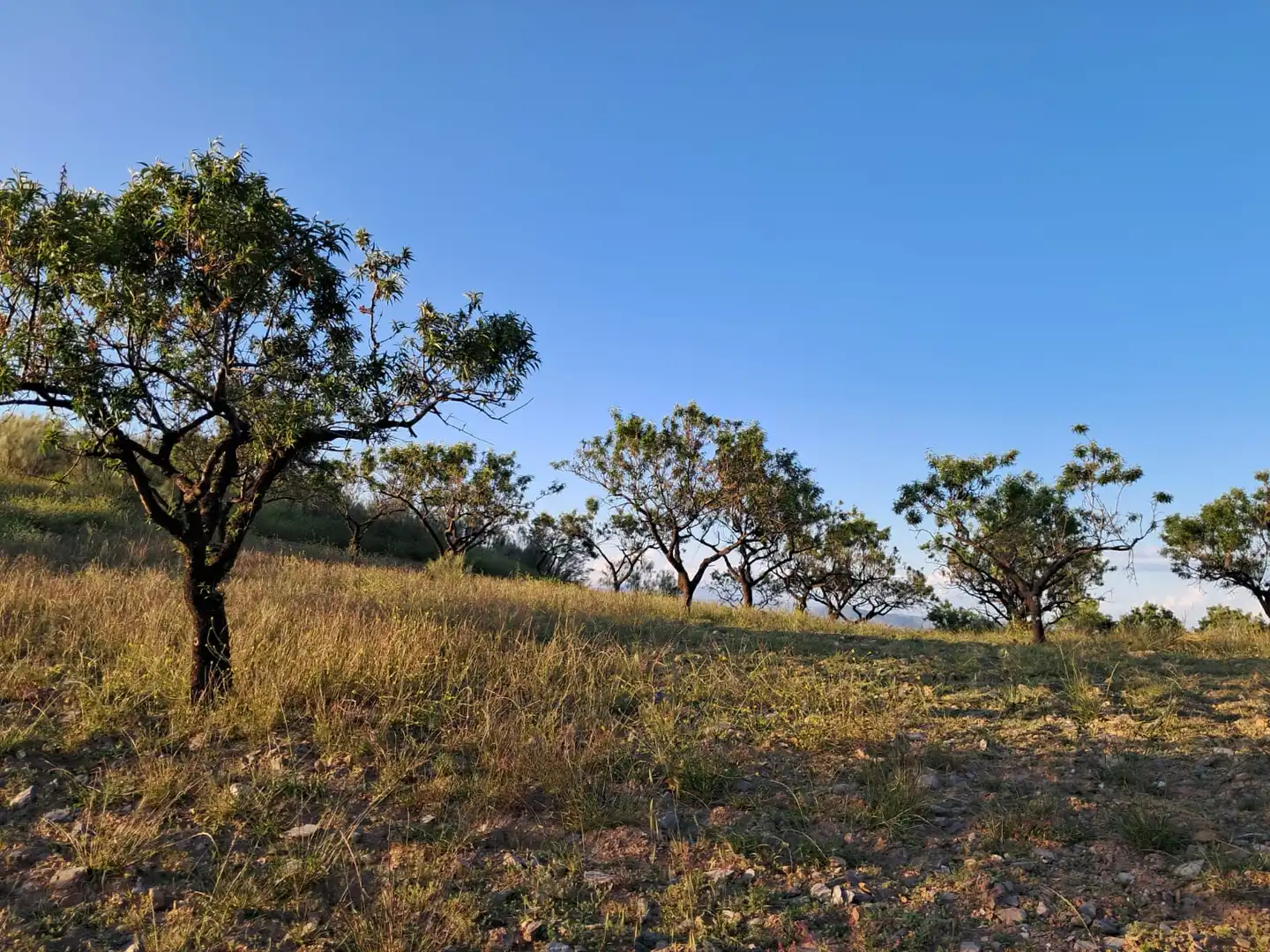 Terreno en venta en Bayarque