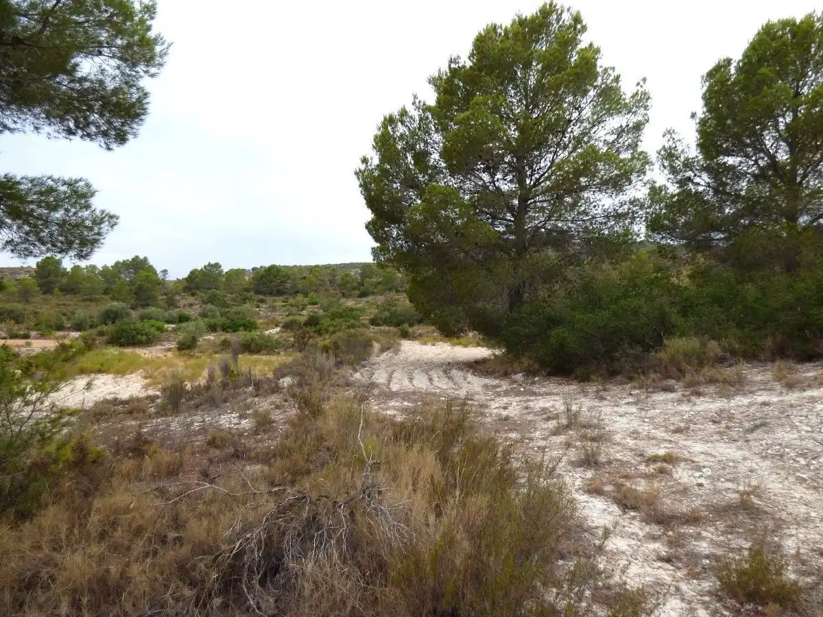 Terrenos y solares en venta en Fosamai, imagen 5