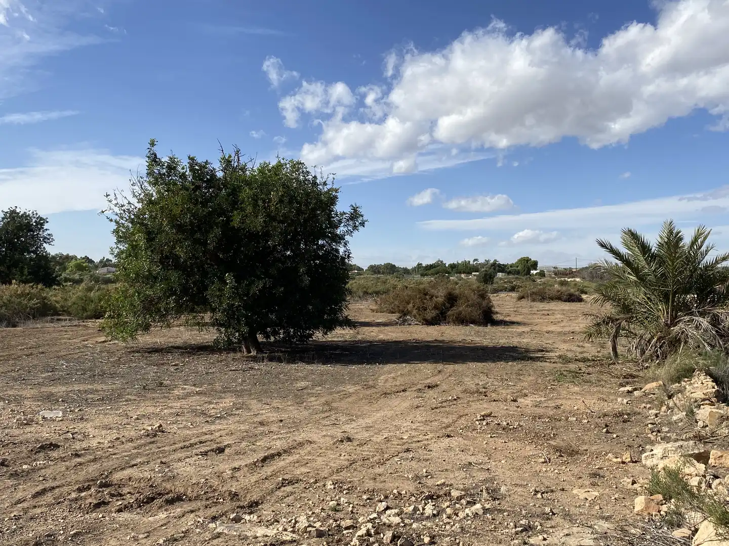 Land for sale in Elche / Elx