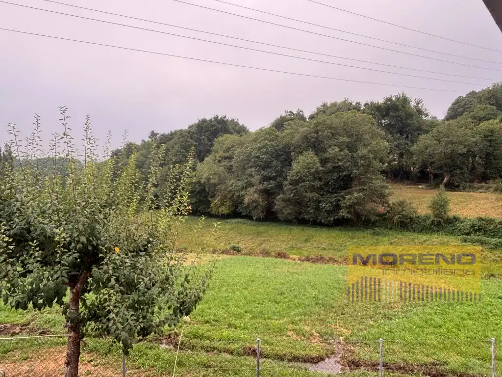Finca rústica en venta en Becerreá