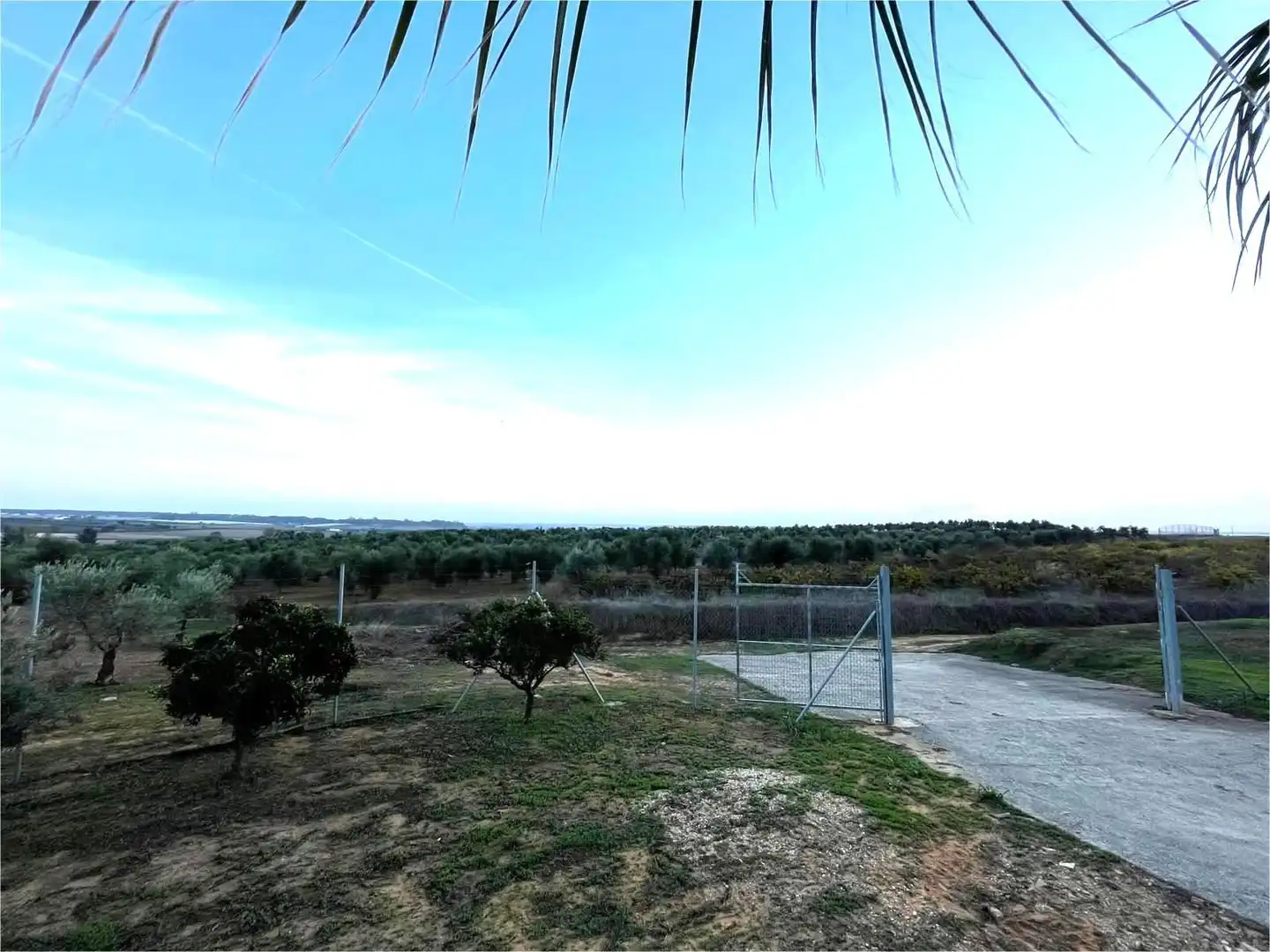 Terreni e lotti in vendita a Lucena del Puerto, imagen 5