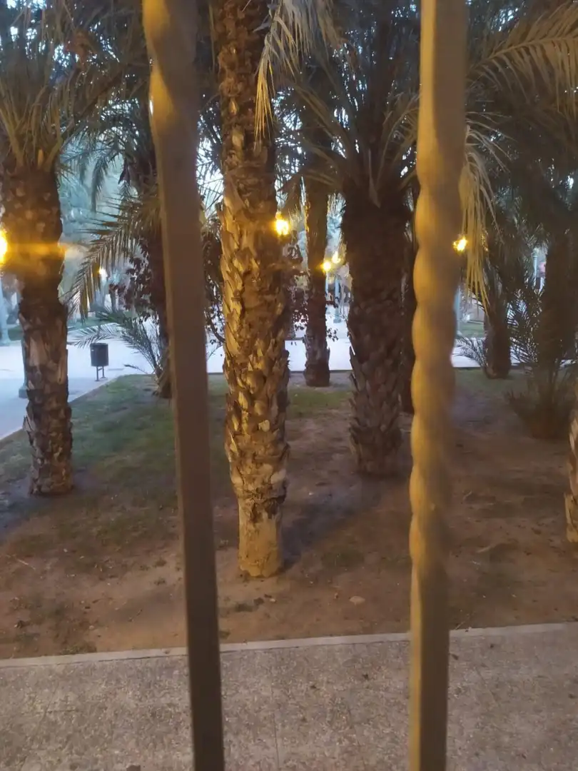 Baixos en venda a Elche ciudad, imagen 22