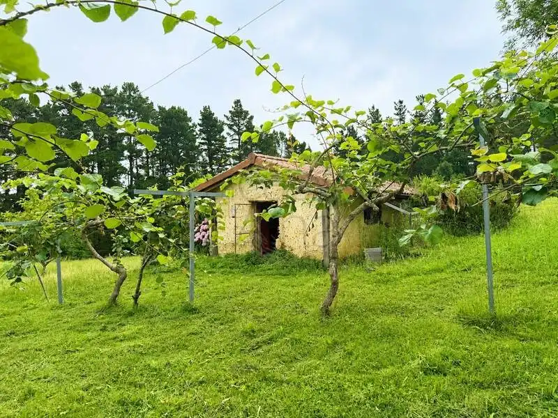Casa o xalet en venda en Areatza amb Terrassa