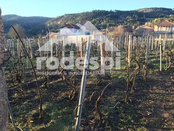 Maison à vendre à Cenlle, imagen 8