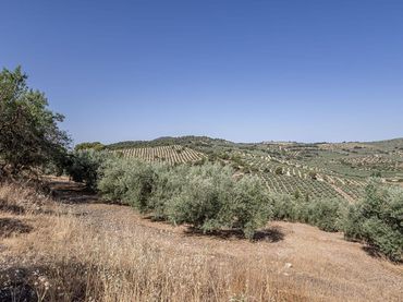 Rustikales Grundstück zum Verkauf in Montefrío