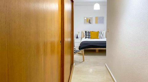 Photo 5 of Room in Barrio del Centro, Alicante / Alacant