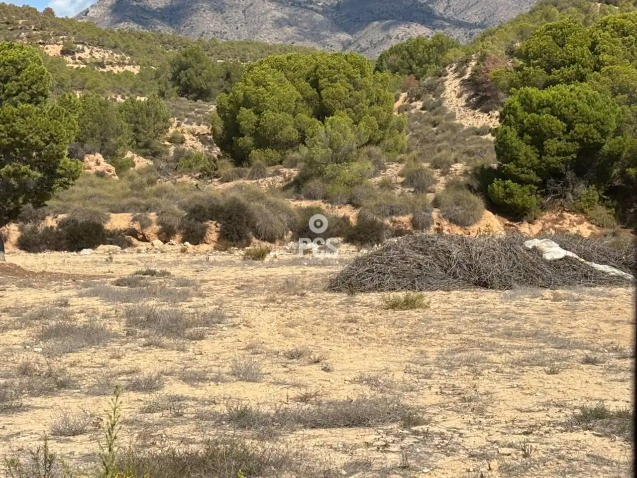 Terrenys i solars en venda a Calle Llano de las Bojas (Aledo) S/N, imagen 15