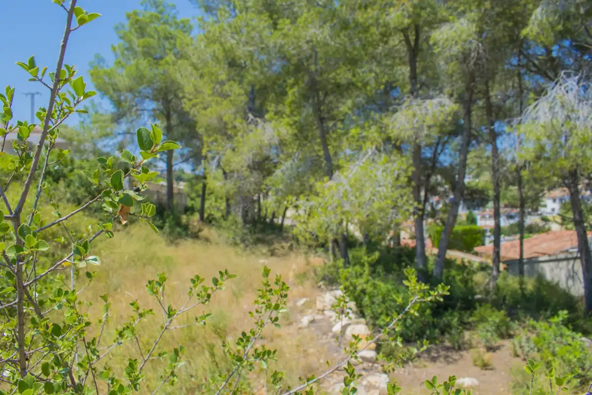 Wohnbaugrundstück zum Verkauf in La Fustera, imagen 25