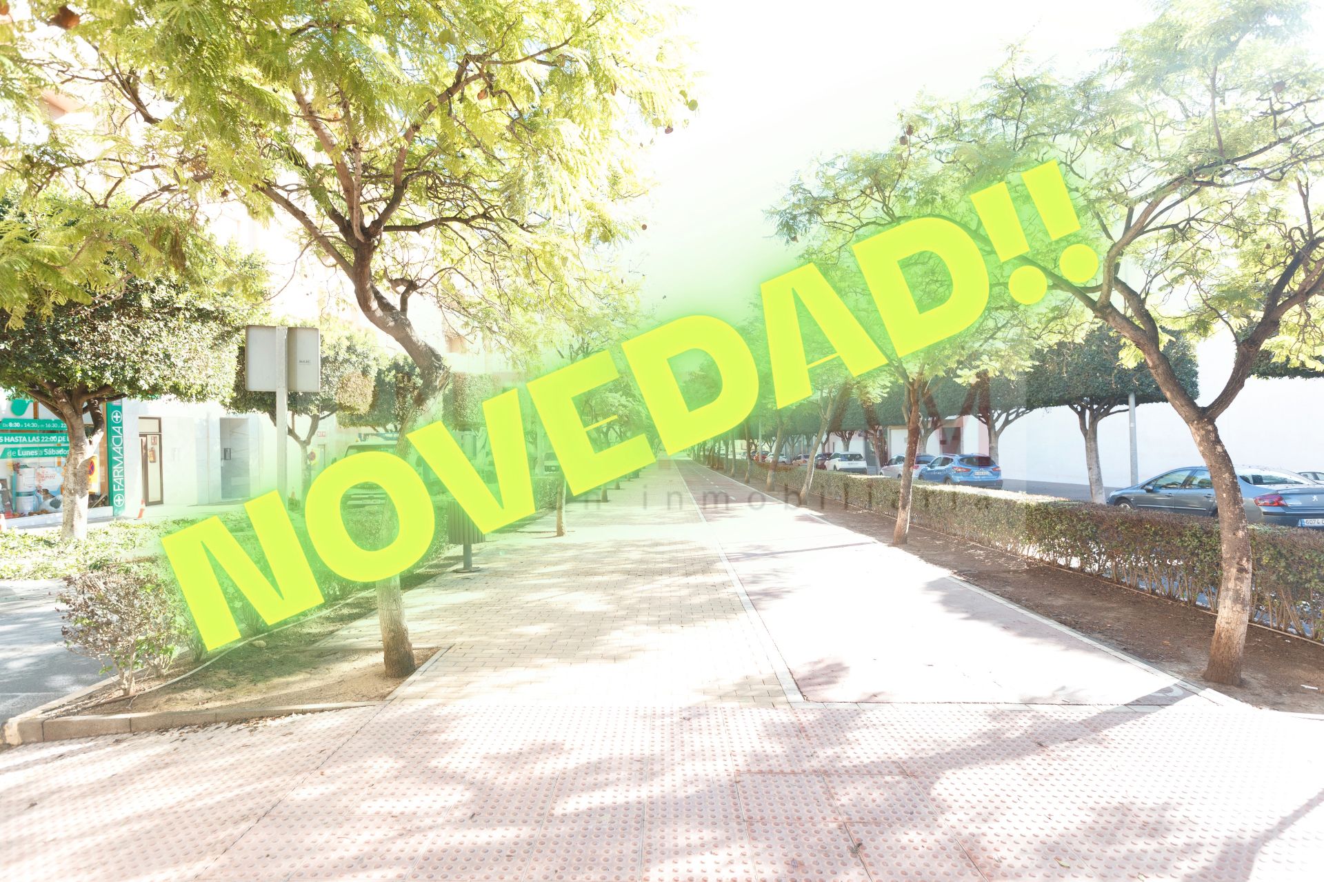 Exterior view of Flat for sale in El Ejido  with Furnished and Balcony