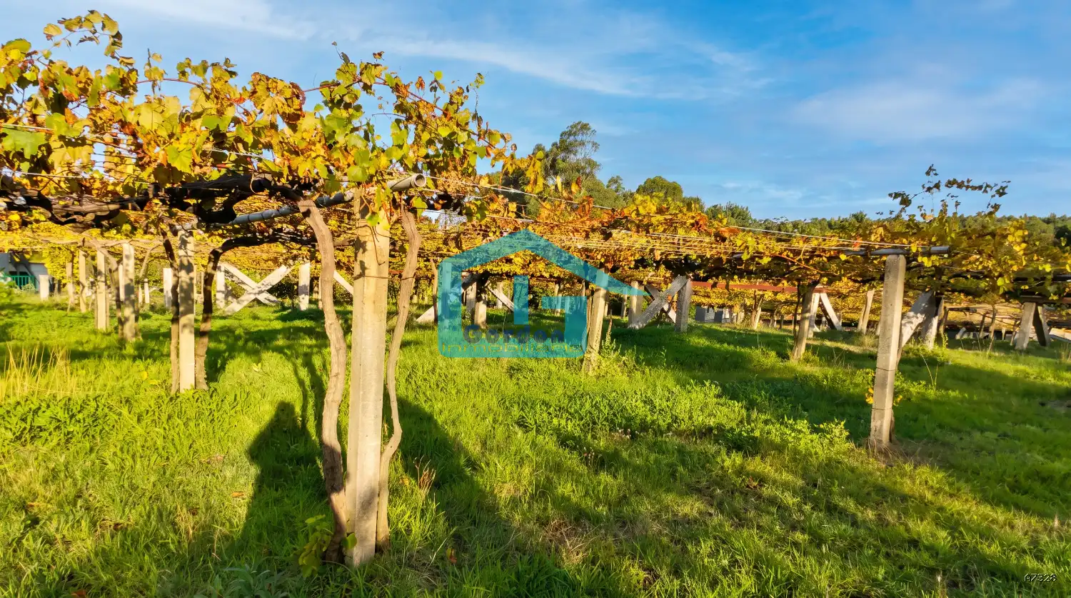Finca rústica en venta en Sanxenxo, Pontevedra