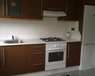 Kitchen of Flat to rent in Santiago de Compostela   with Heating, Furnished and Oven