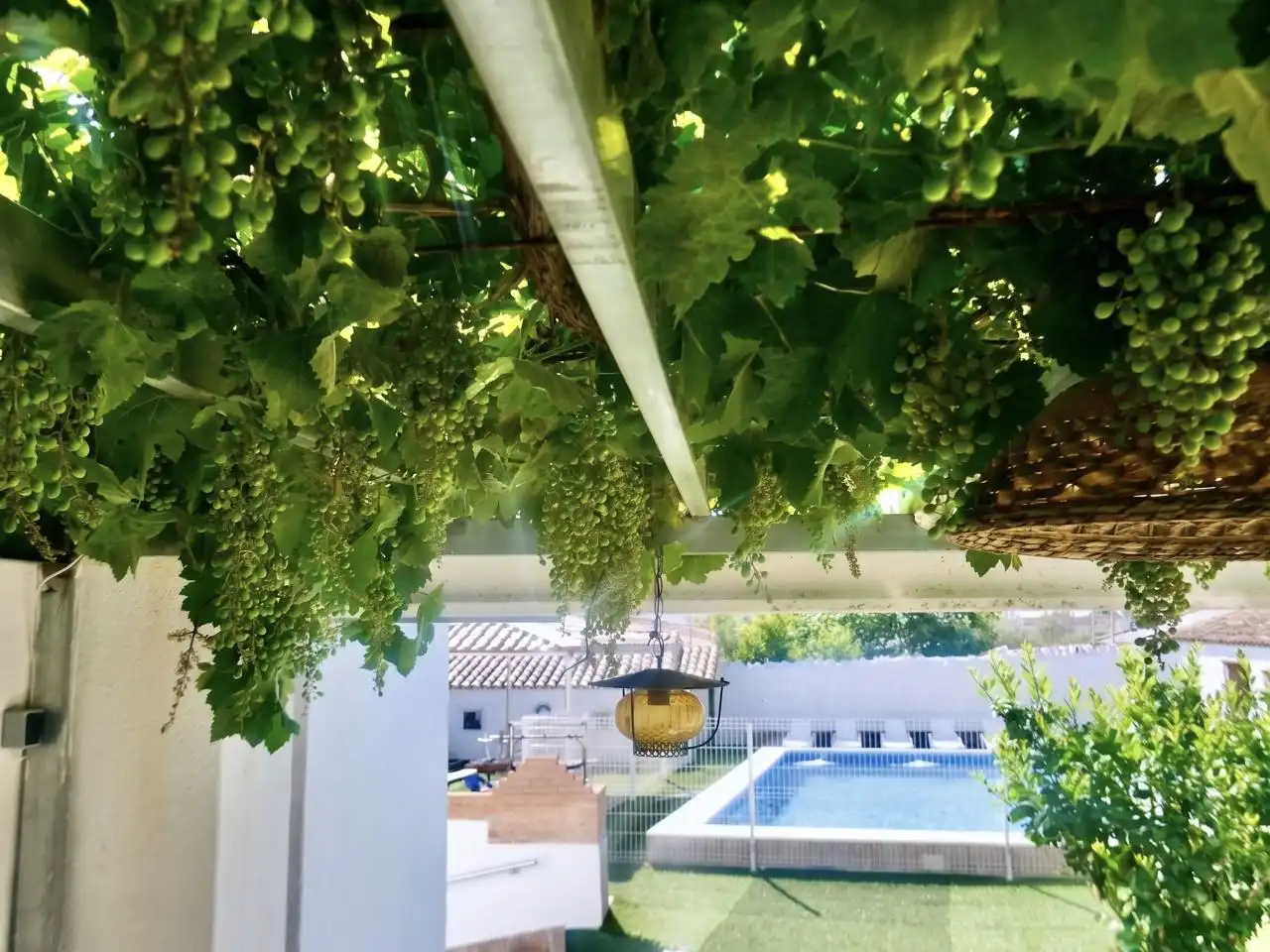 Swimming pool of Houses for sale in Corteconcepción  with Private garden, Terrace and Storage room
