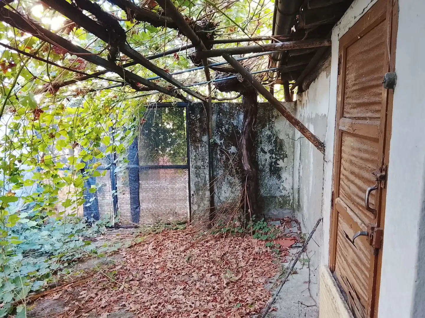 Jardín de Casa o chalet en venta en Arenas de San Pedro con Jardín privado y Trastero
