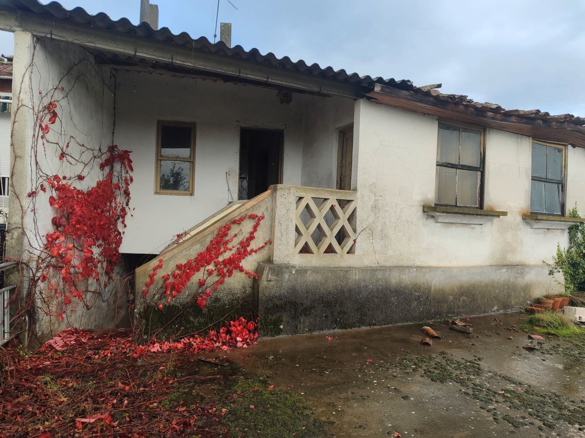 Exterior view of Country house for sale in Oímbra  with Private garden