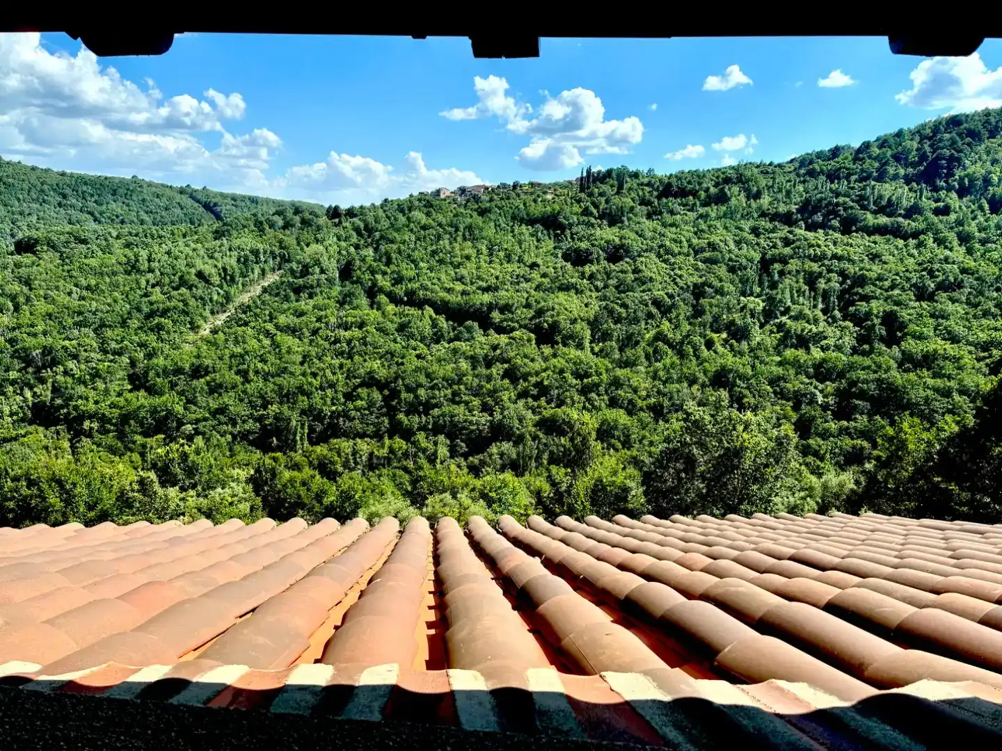 Vista exterior de Casa o chalet en venta en Mogarraz con Jardín privado y Parquet