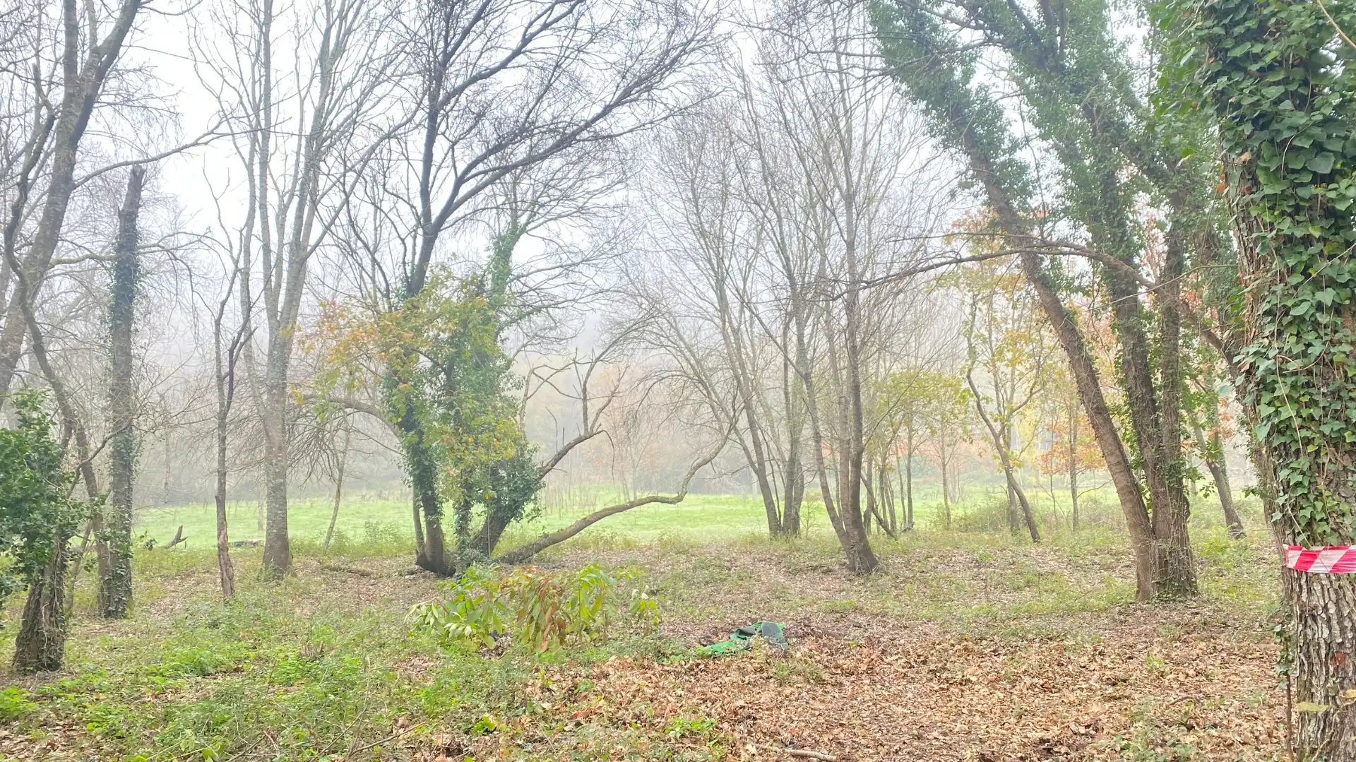 Terreni e lotti in vendita a Valdastillas, imagen 9