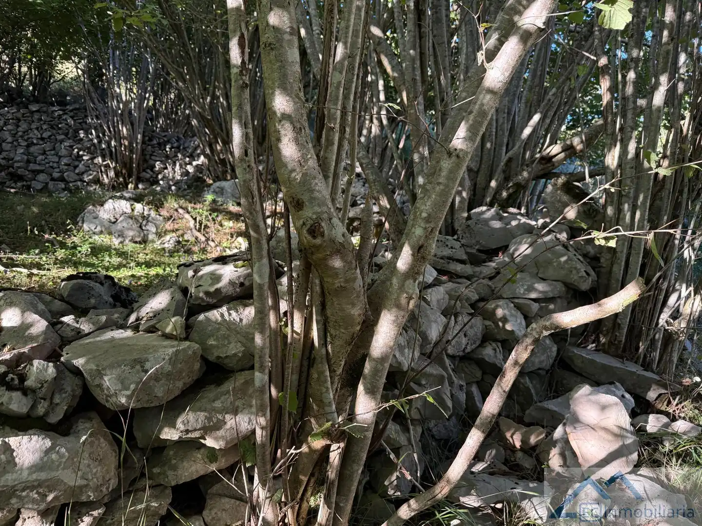 Vista exterior de Finca rústica en venta en Ruesga