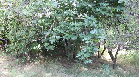 Terreno en venta en Restábal., imatge 5