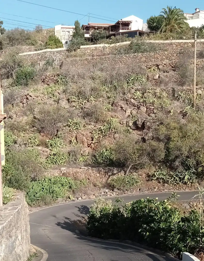 Rural land for sale in Calle la Parranda, imagen 9