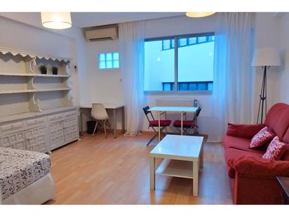 Living room of Study to rent in  Madrid Capital  with Air Conditioner, Heating and Furnished