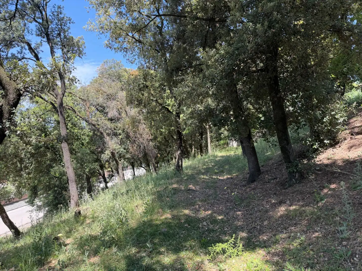 Lands and plots for sale in Carrer de Sant Bernat 7, imagen 11