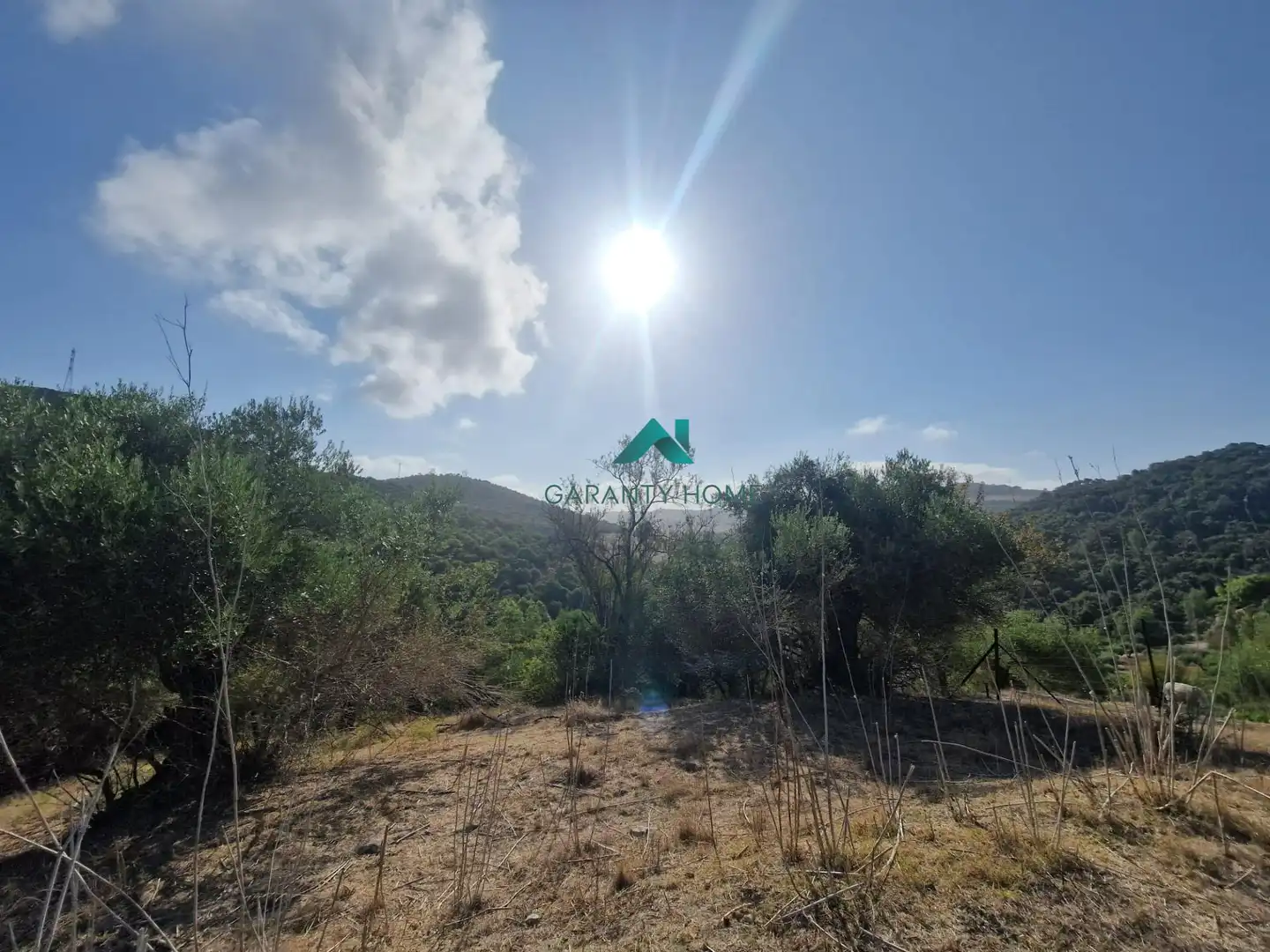 Rural land for sale in San José del Valle, imagen 10