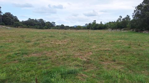 Finca rustica en Escalante, immagine 2