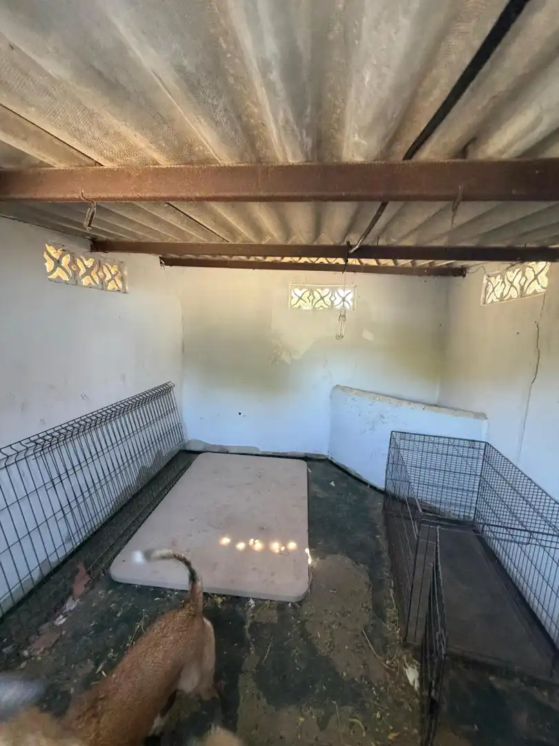 Casa rustica in vendita a Pedanías Norte, imagen 36