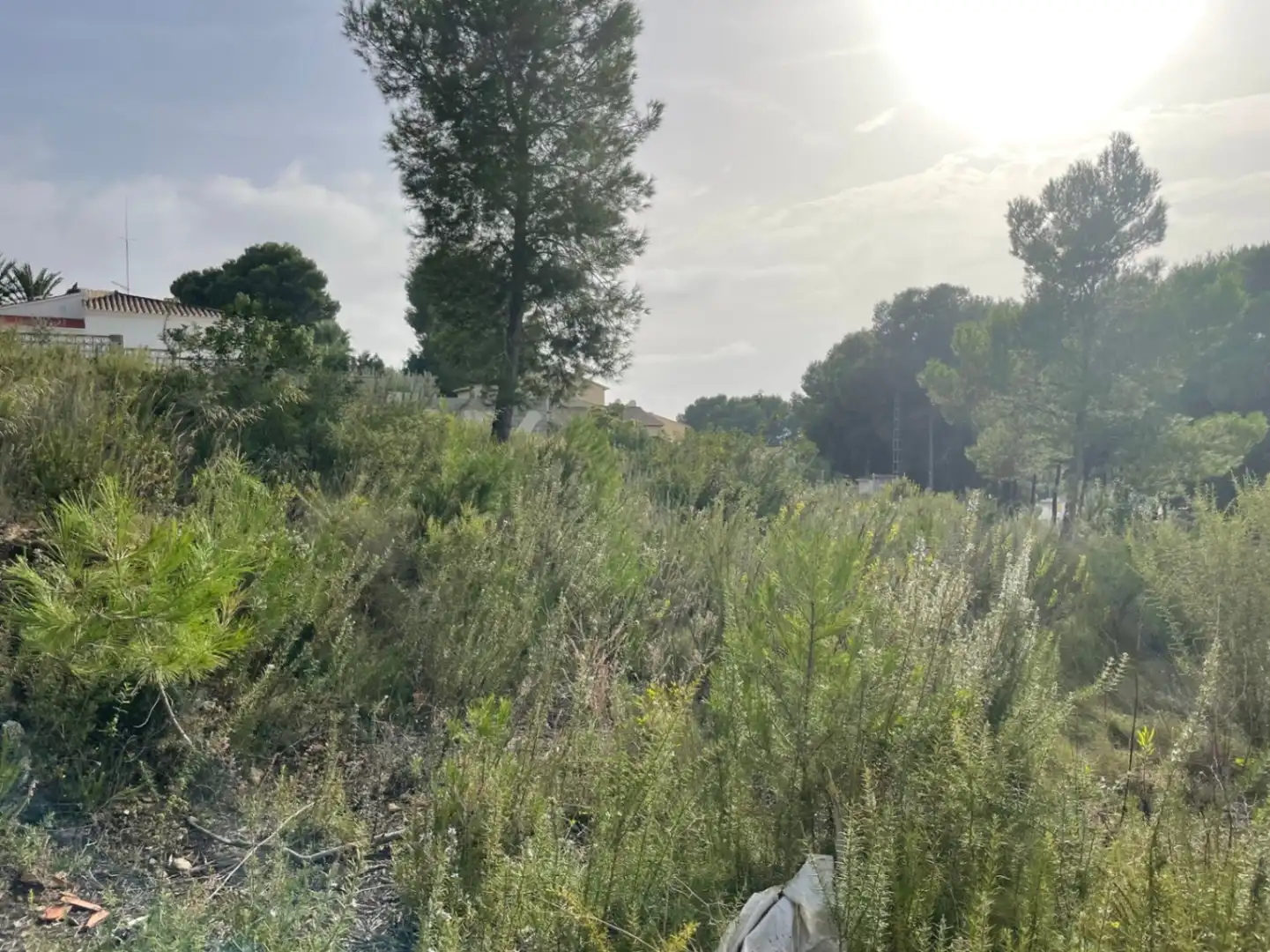 Terreny residencial en venda a El Portet - Pla de Mar, imagen 7