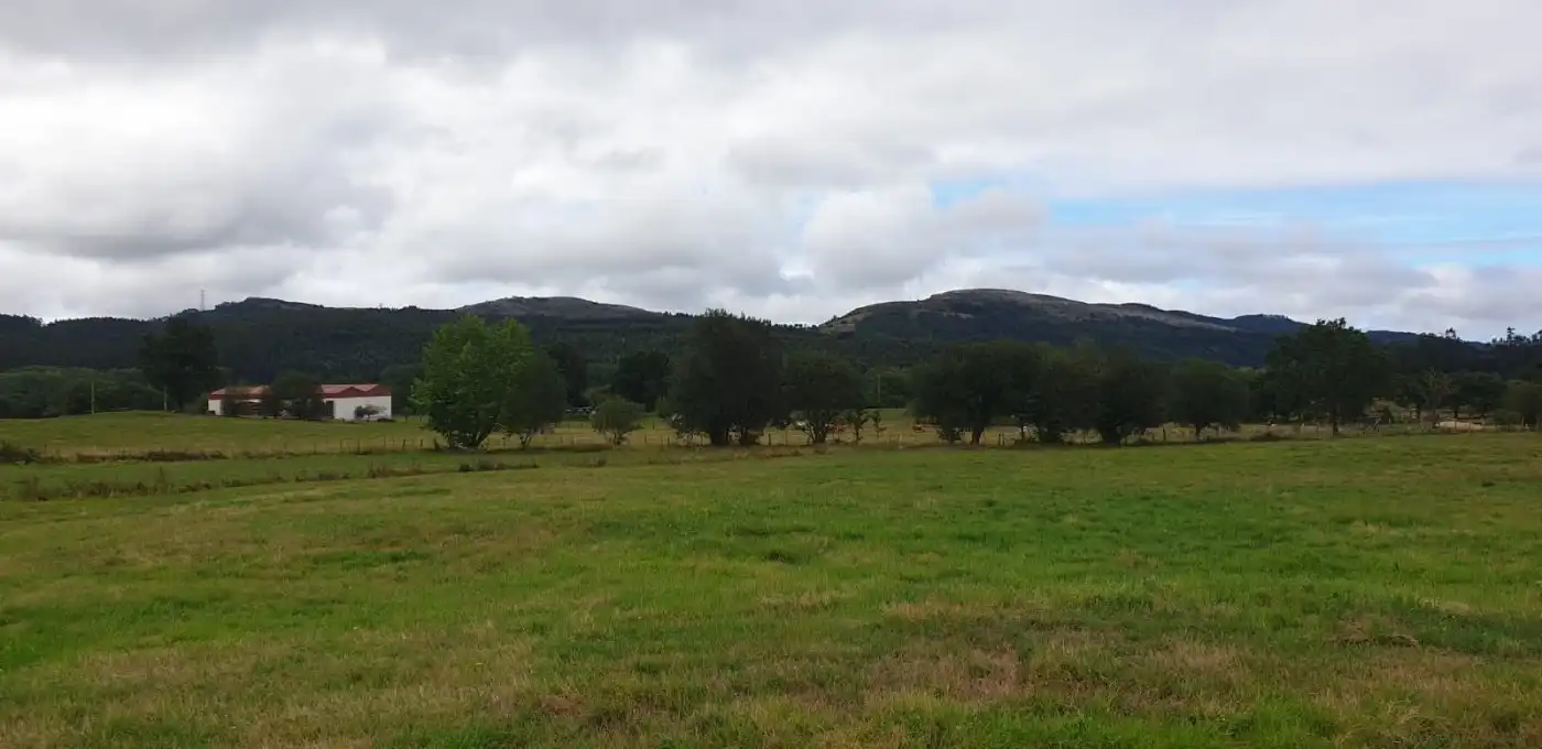 Terreno rustico in vendita a Mazcuerras, imagen 4