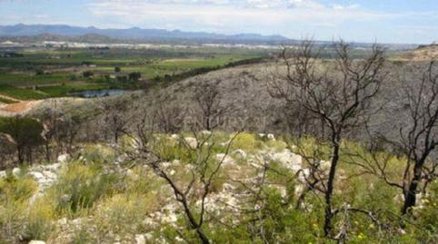 Photo 5 of Industrial land for sale in Peris y Valero, 27, Cumbres de Calicanto, Valencia