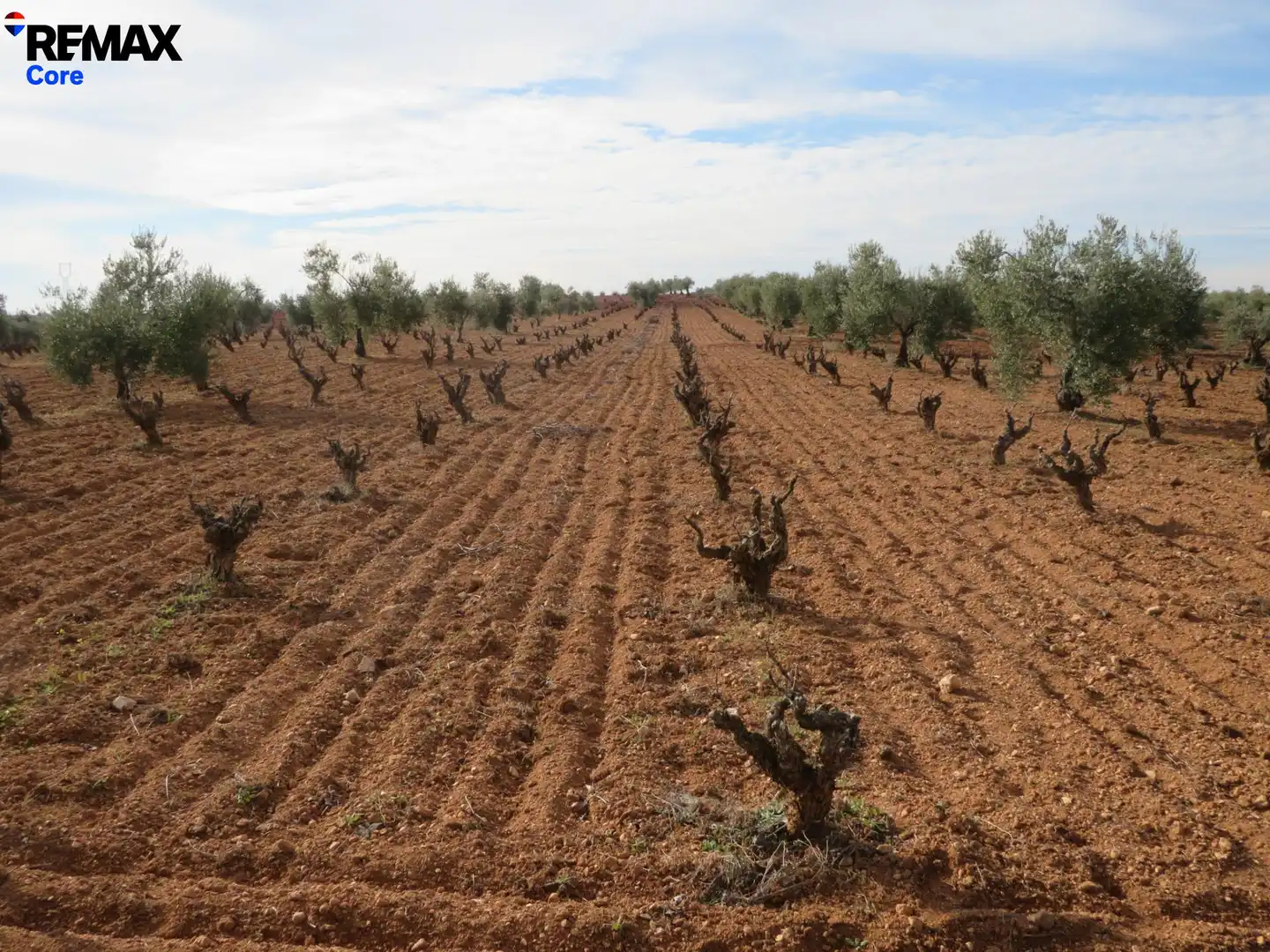 Grundstücke zum Verkauf in La Zarza (Badajoz)