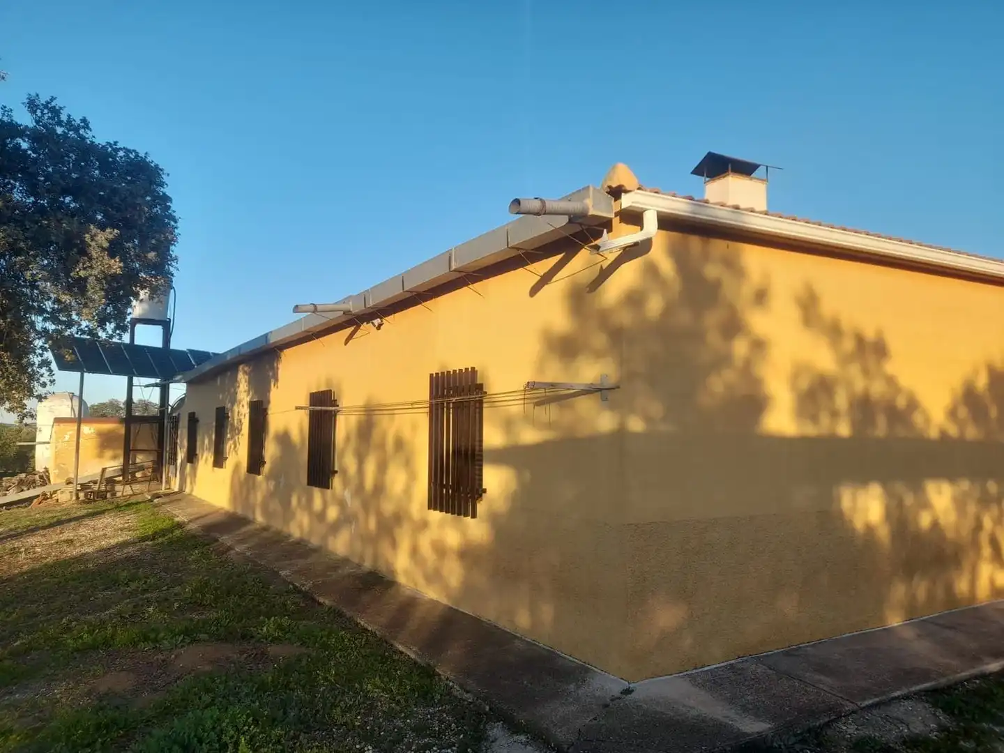 Vista exterior de Finca rústica en venta en Fuente Obejuna con Jardín privado
