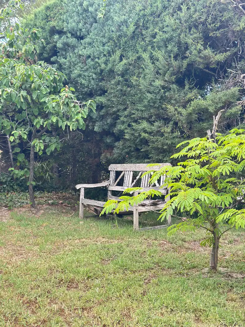 Garden of Houses for sale in Algete  with Heating, Private garden and Terrace
