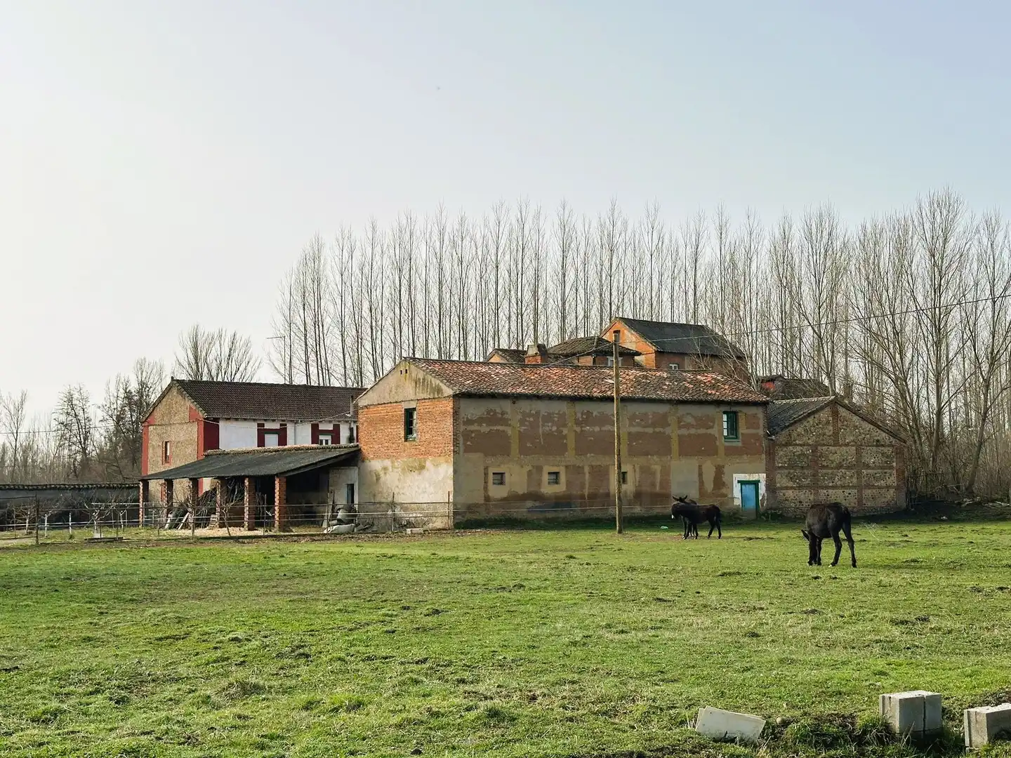 Vista exterior de Piso en venta en Villabalter