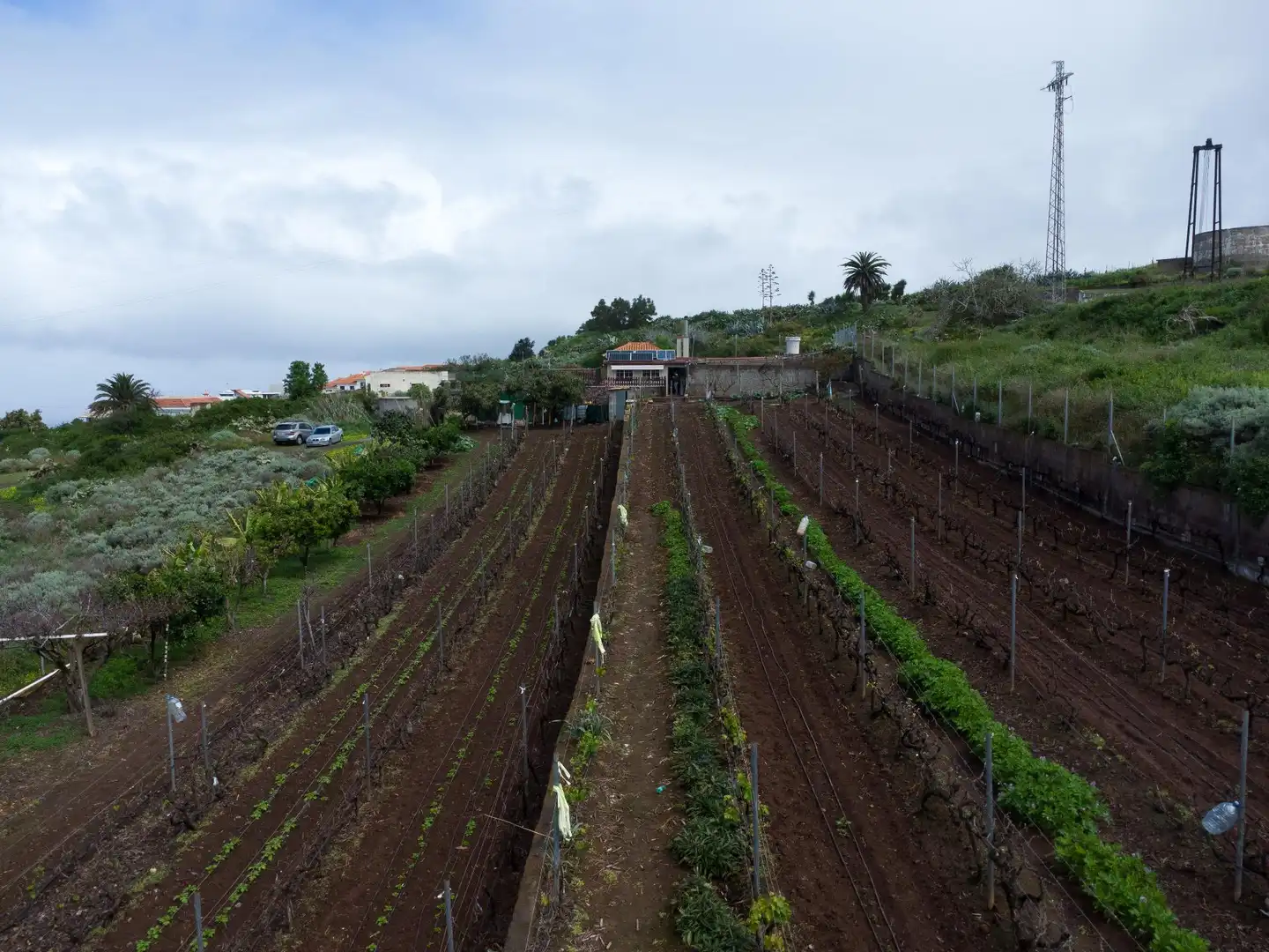 Jardín de Finca rústica en venta en El Sauzal