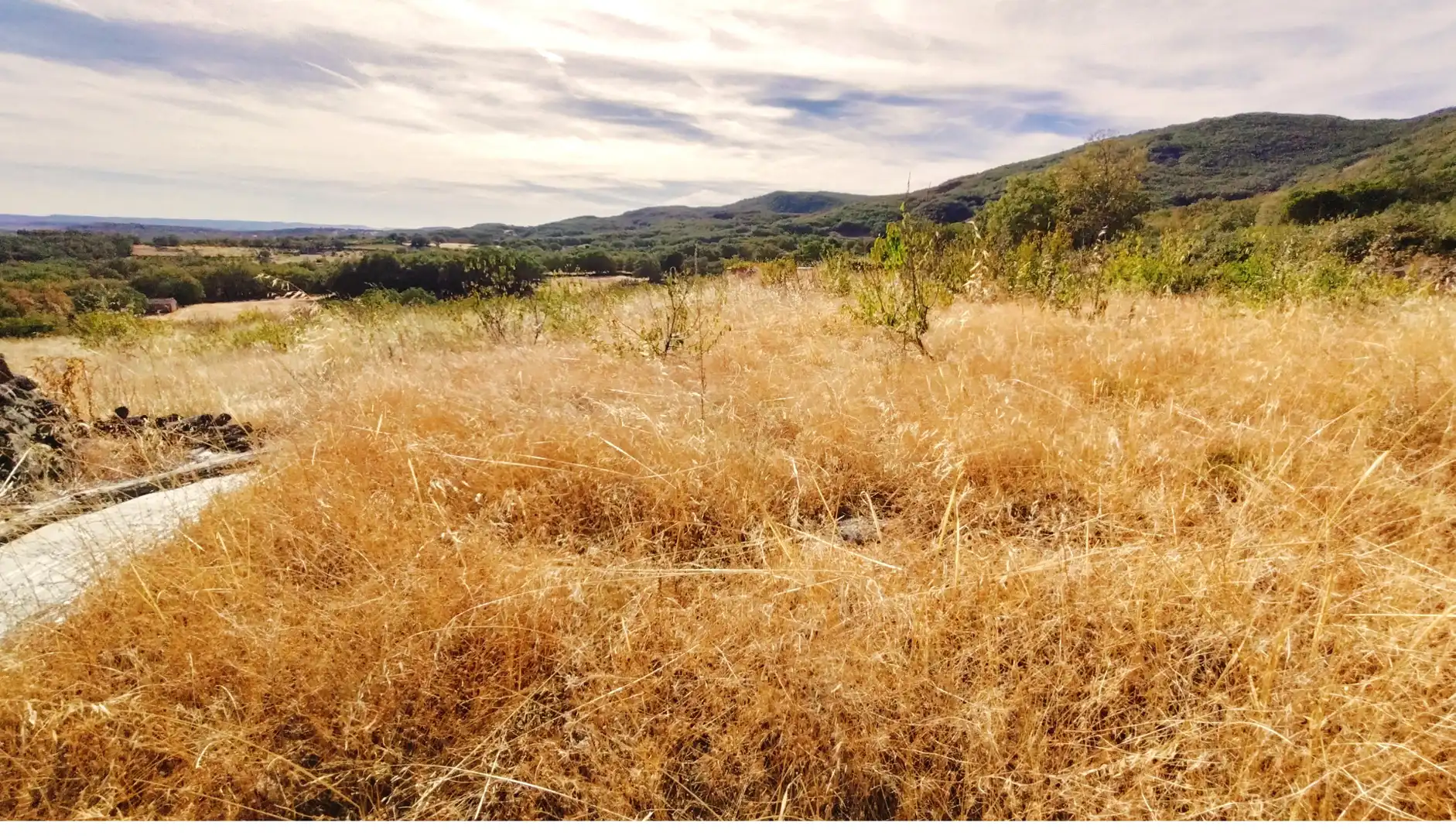 Terrain rustique à vendre à Avenida Extremadura 72, imagen 10