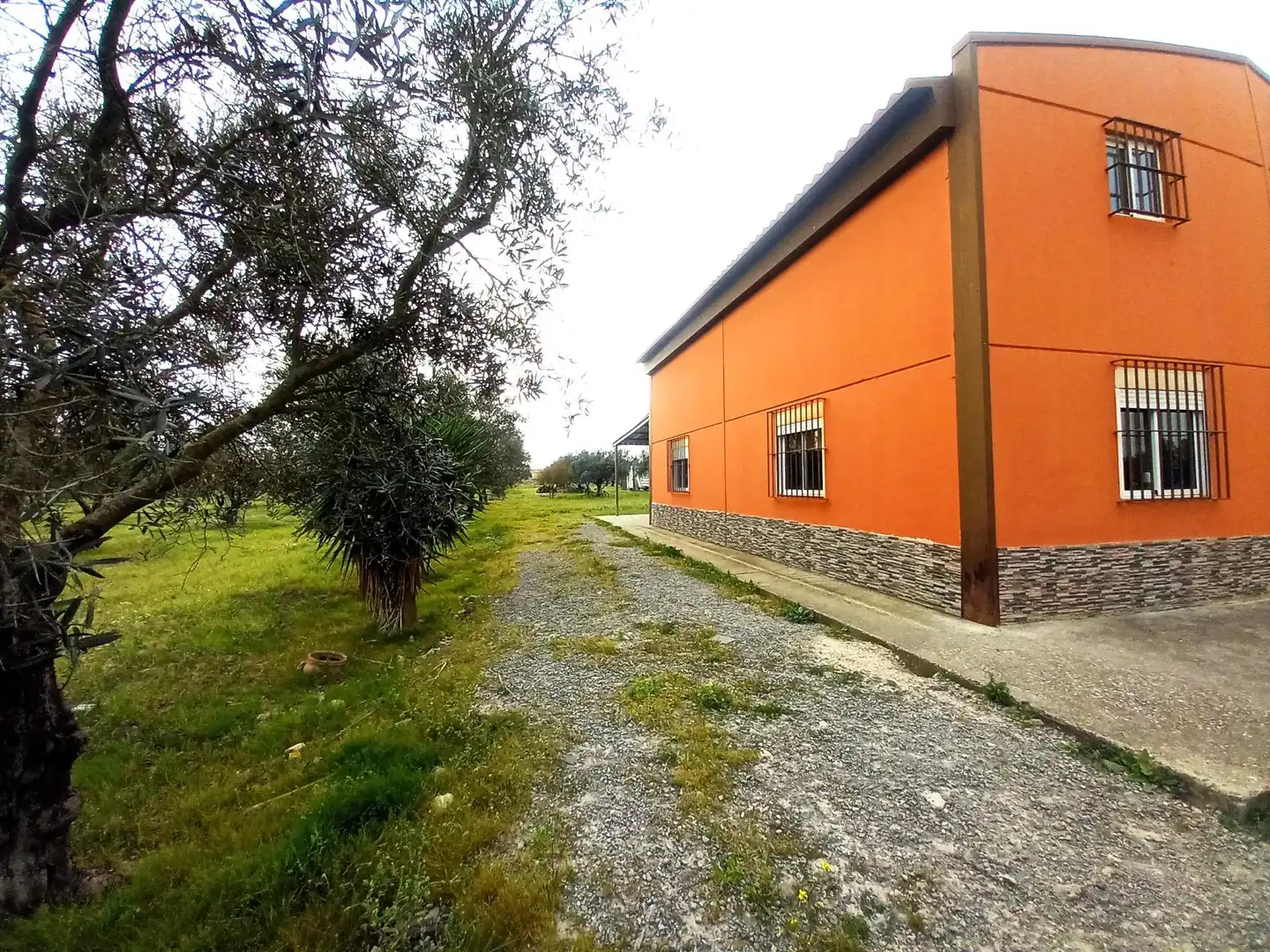 Exterior view of Country homes for sale in Jerez de la Frontera  with Terrace
