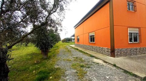 Photo 2 of Country house for sale in Montealto, Jerez de la Frontera