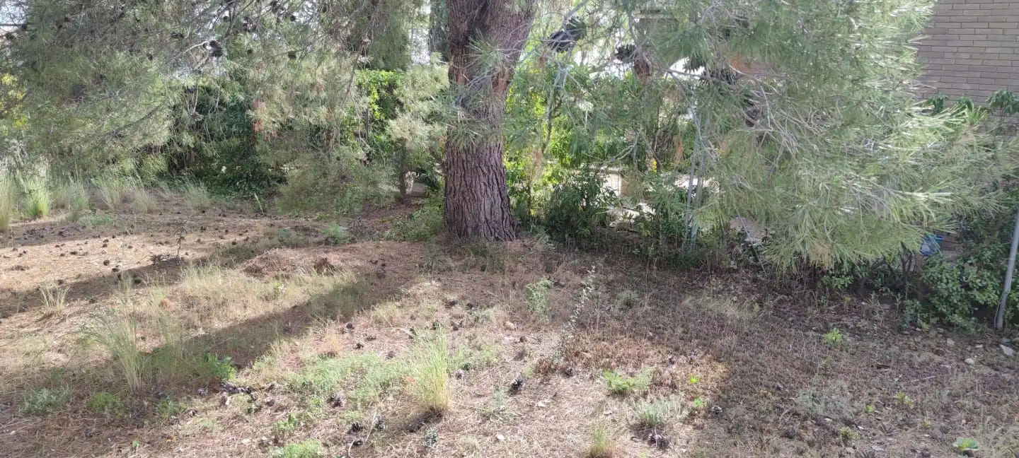 Lands and plots for sale in DE LA CAMELIA 4, imagen 2