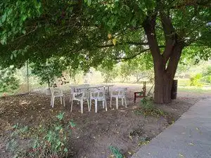 Terreni e lotti in vendita a Jarandilla de la Vera, imagen 13