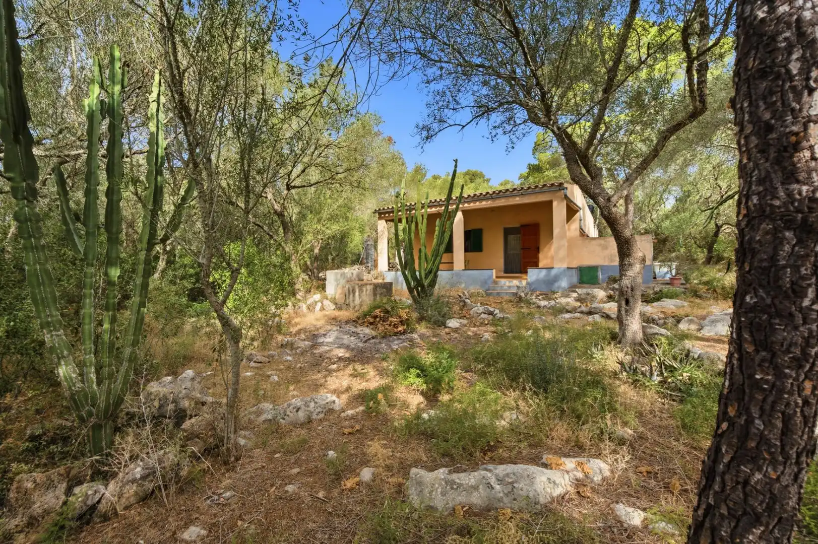 Jardí de Finca rústica en venda en Petra amb Jardí privat, Terrassa i Traster