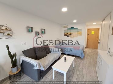 Estudio con balcón en alquiler en Avenida Familia de Betancourt y Molina 8