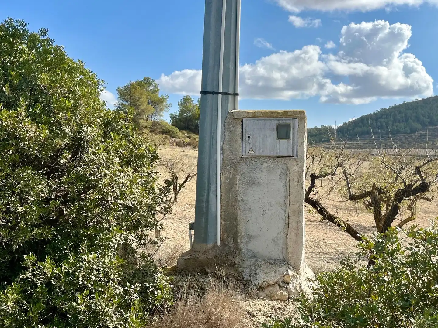 Lands and plots for sale in Bullas, imagen 8