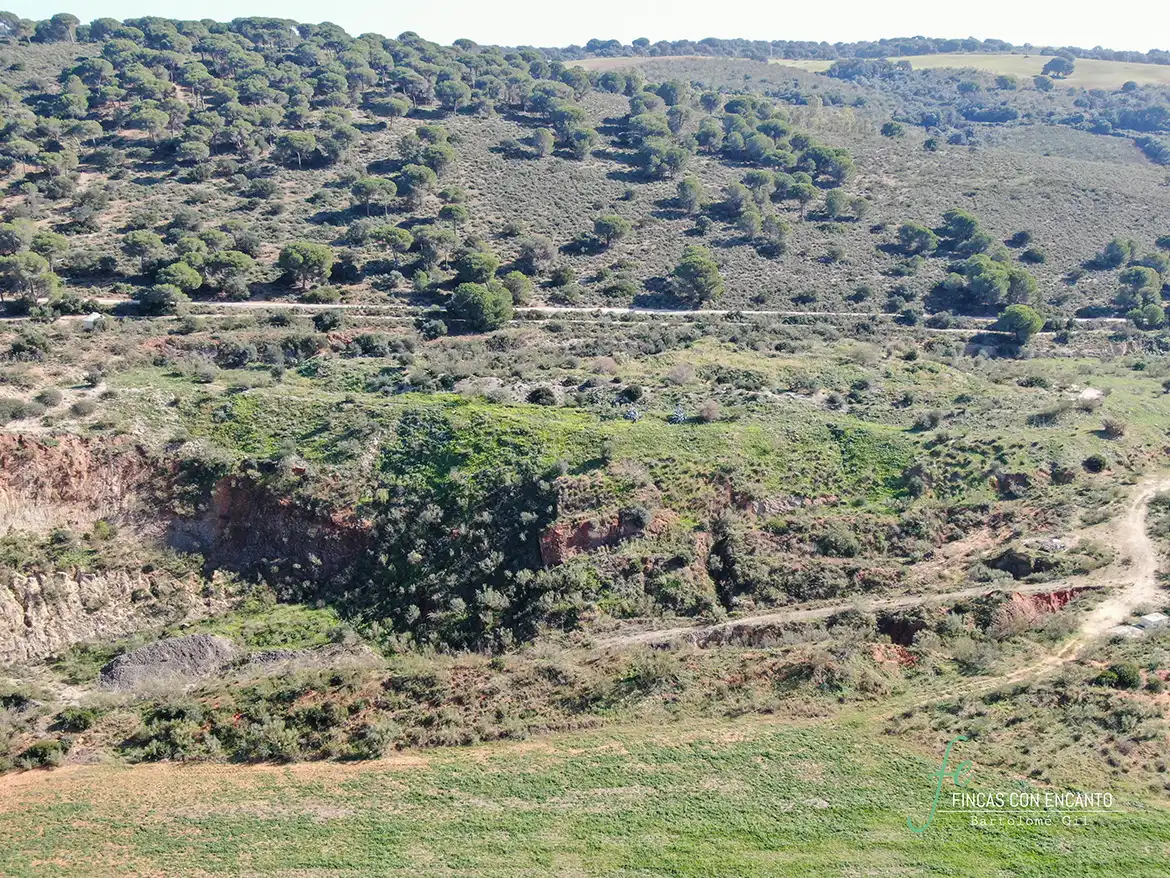 Terreno rustico in vendita a Arcos de la Frontera, imagen 19